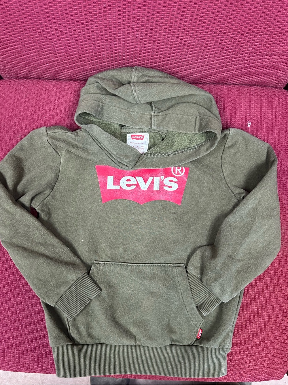 Levi's Kids Olive Hoodie with Bright Red Logo
